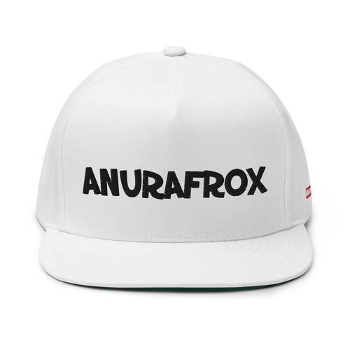 Basic Logo Snapback - White/Black image 0